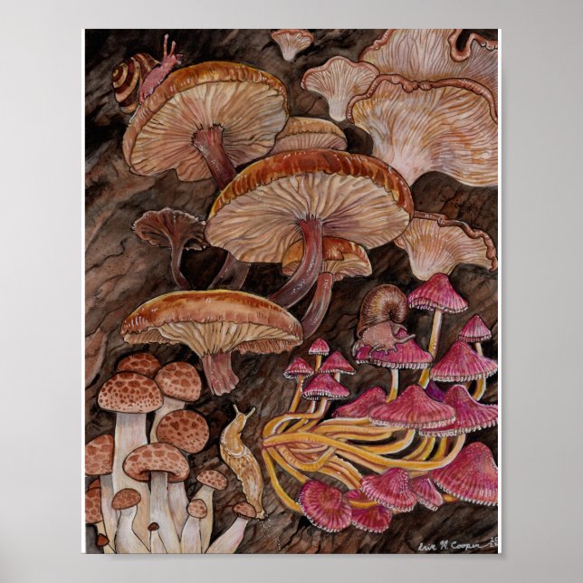 Affiche Ménagerie de champignons (Devant)
