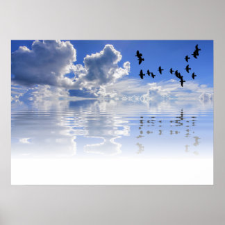 Affiche Mer