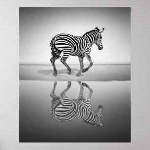 Affiche Mer de la liberté