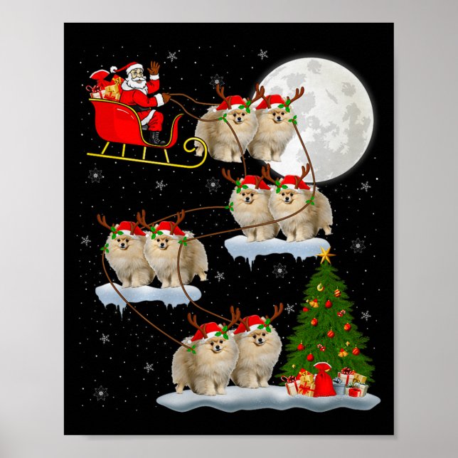 Affiche Meranian Dog Santa Sleigh Flying Funny Magical Chr (Devant)