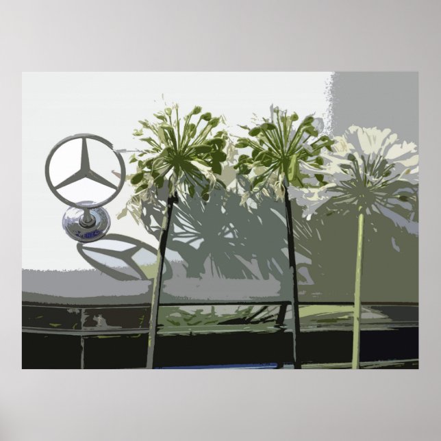AFFICHE MERCEDES & AGAPANTHUS (Devant)