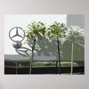 AFFICHE MERCEDES ET AGAPANTHUS