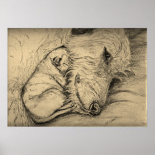 Affiche Mère et chiot de chien-loup irlandais