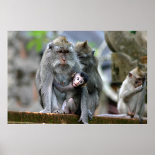 Affiche Mère et enfant