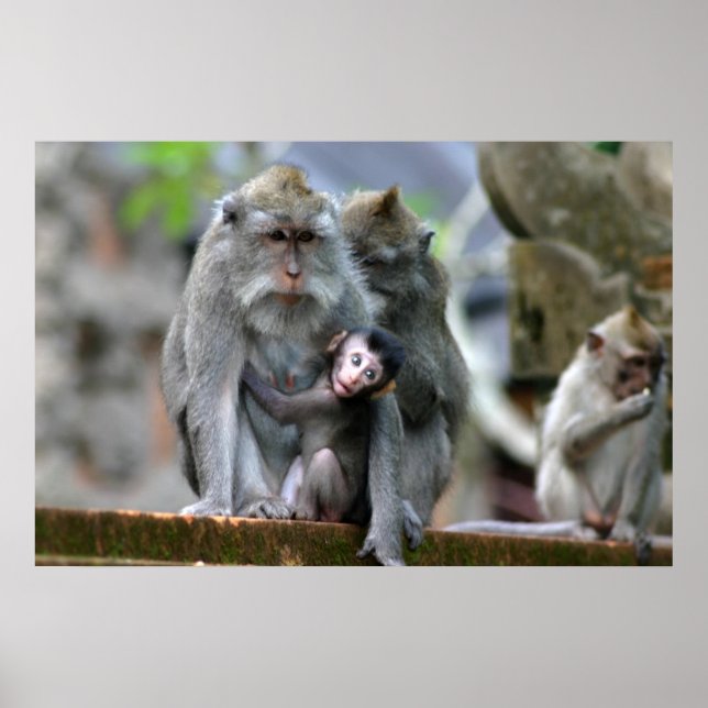 Affiche Mère et enfant (Devant)