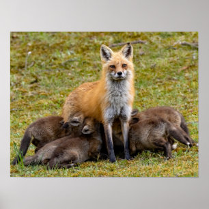 Affiche Mère être comme