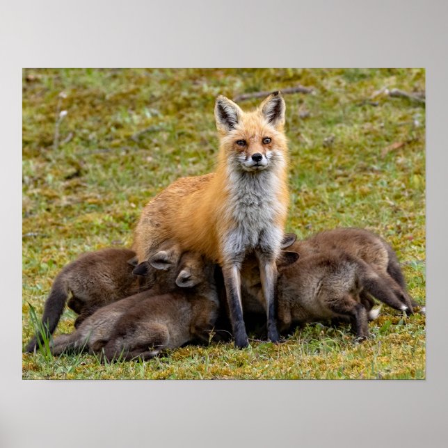 Affiche Mère être comme (Devant)