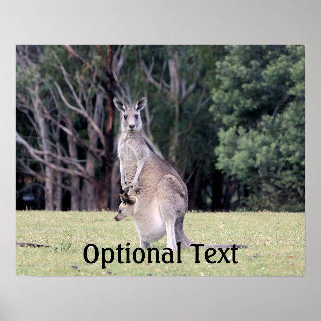 Affiche Mère Kangaroo avec bébé Joey dans sa poche (Devant)