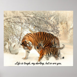 Affiche Mère Tigre et Cub à Neige "La vie est dure..."