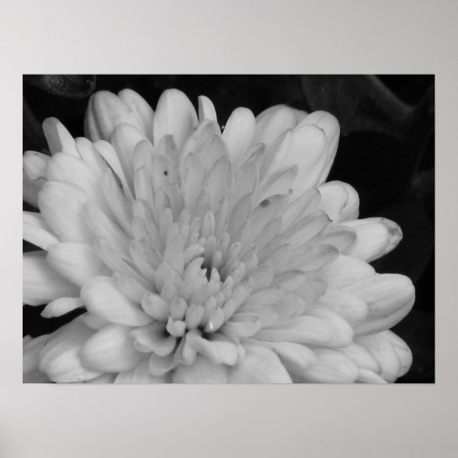 Affiche Mères jaunes (Devant)