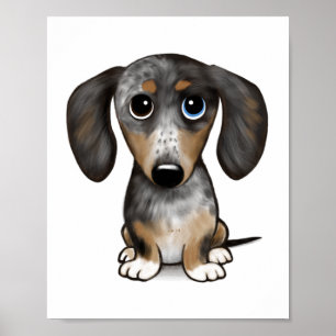Affiche Merle Dapple Dachshund mignon chien Wiener