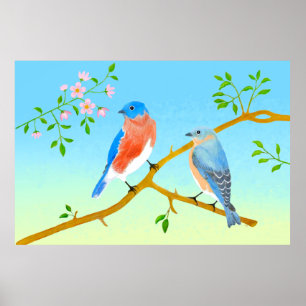 Affiche Merles Bleus Bleu Clair & Vert