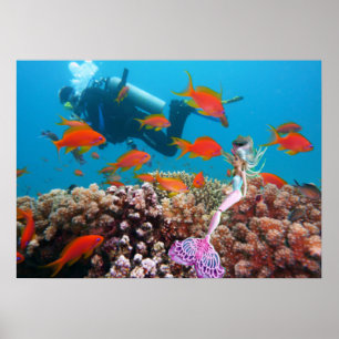 Affiche Mermaid célèbre