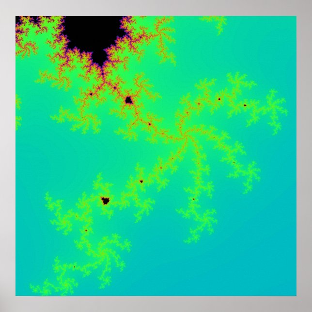 Affiche Merveille fractale (Devant)