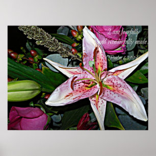 Affiche merveilleusement faite