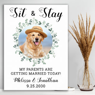 Affiche Mes parents se marient Mariage animal de compagnie