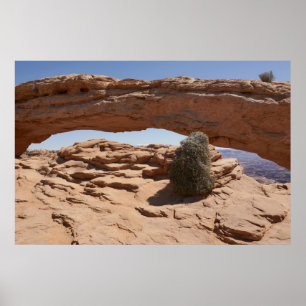 Affiche Mesa Arch et Tumbleweed aux Canyonlands