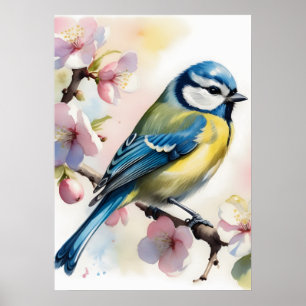 Affiche Mésange bleue à l'aquarelle sur un pommier au prin