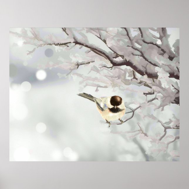 Affiche Mésange de l'arbre hivernal givré (Devant)