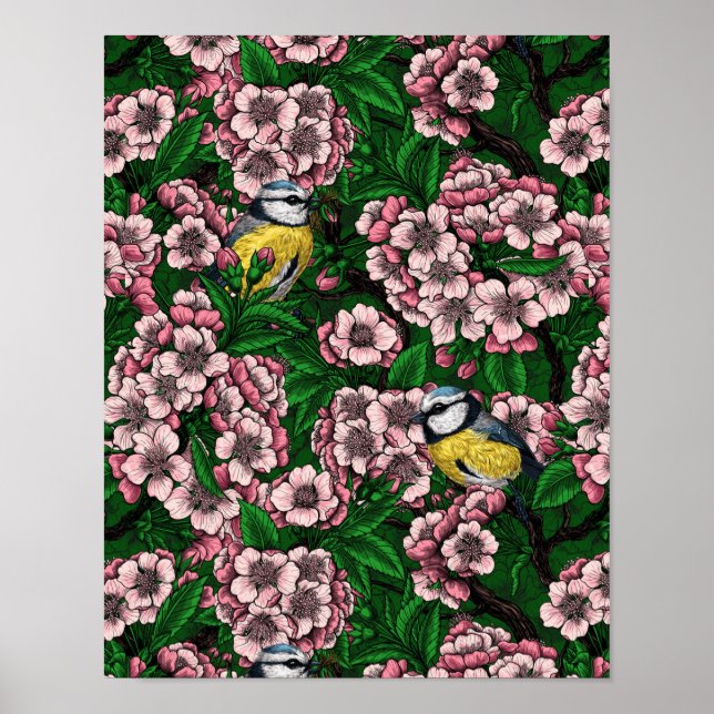 Affiche Mésanges bleues dans le cerisier en fleurs sur fon (Devant)