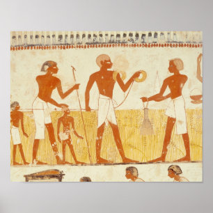 Affiche Mesure de la terre utilisant la corde