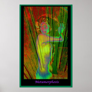 Affiche Métamorphose