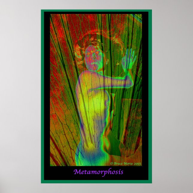 Affiche Métamorphose (Devant)