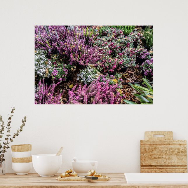 Affiche Météo et baies (Cuisine)