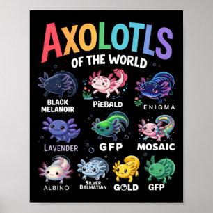 Affiche Mets Axolotls Du Monde Kawaii Axolotl Cute Art