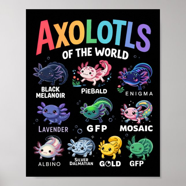 Affiche Mets Axolotls Du Monde Kawaii Axolotl Cute Art (Devant)