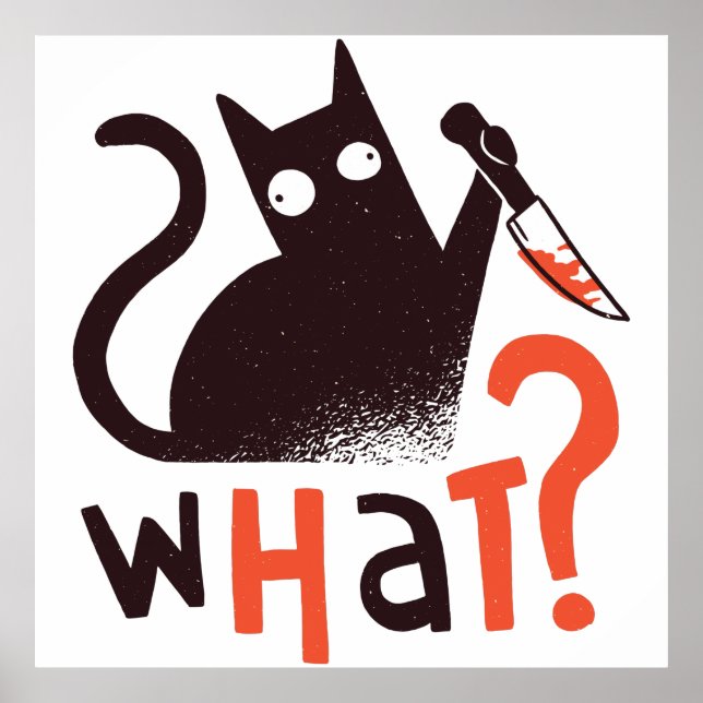 Affiche Meurtre Chat Drôle (Devant)