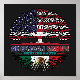 Affiche Mexico Mexican US American États-Unis Tree