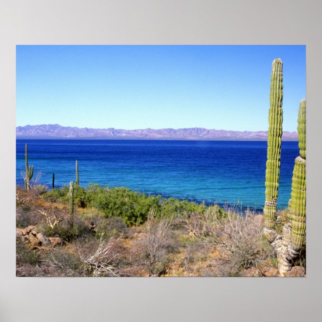 Affiche Mexique, Basse-Californie du Sud, Mulege, Bahia 2 (Devant)