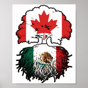 Affiche Mexique Mexique Canada drapeau des racines d'arbre