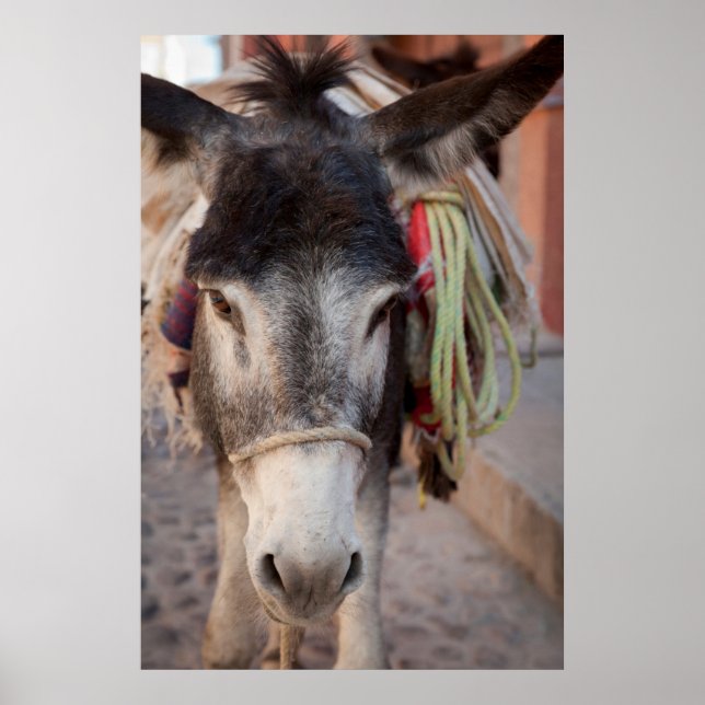 Affiche Mexique, San Miguel De Allende (Devant)