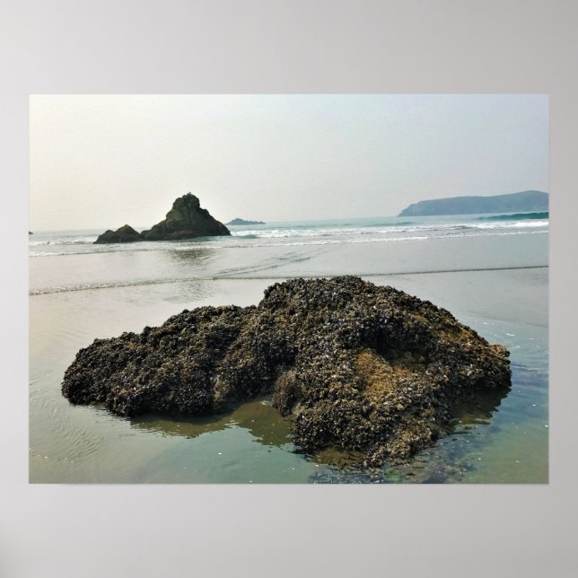 Affiche Meyers Beach North, Gold Beach, Oregon (Devant)