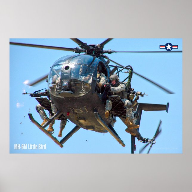 AFFICHE MH6M PETIT OISEAU (Devant)