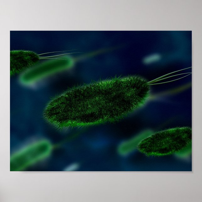 Affiche Microbes bactéries (Devant)