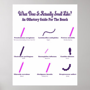 Affiche Microbiologie Bench Olfactory Guide