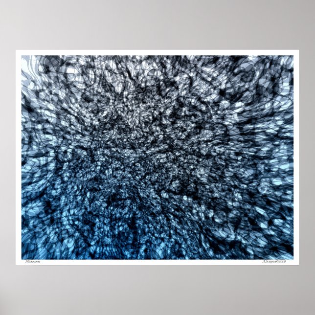 Affiche Microcosme (Devant)