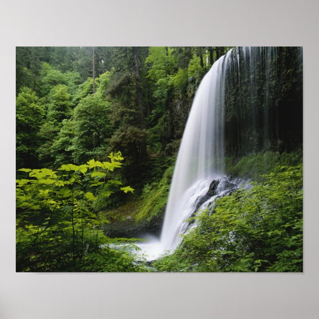 Affiche Middle North tombe, Silver Falls State Park, (Devant)