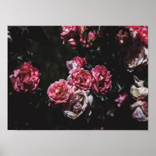 Affiche Midnight garden, dark floral art