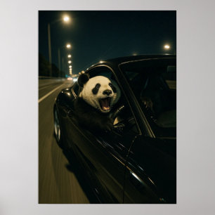 Affiche Midnight Ride – Drôle de Panda dans un Mur de Voit