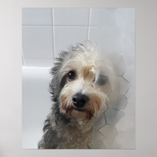 Affiche Mignable Adorable West Highland White Terrier dans