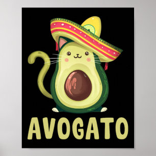 Affiche Mignon Avogato Drôle Cinco De Mayo Chat Avocat Enf