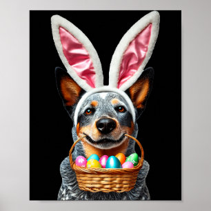 Affiche Mignon chien de berger australien aux oreilles de