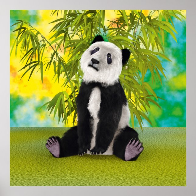 Affiche Mignon Ours Panda Kawaii Amoureux des Animaux Cade (Devant)