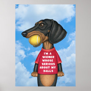 Affiche Mignonne Dachshund avec balle de tennis dans la bo