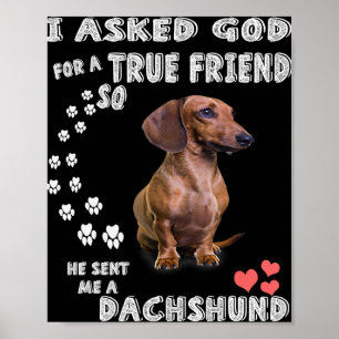 Affiche Mignonne Dachshund Doxie Cadeaux Fille Dachshund M