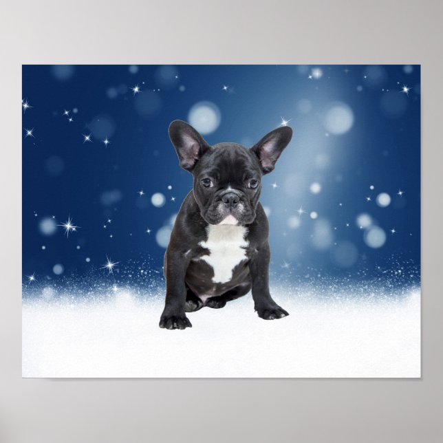 Affiche Mignonne French Bulldog Etoiles de neige Bleu Noël (Devant)
